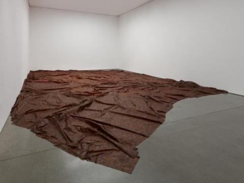 Doris Salcedo