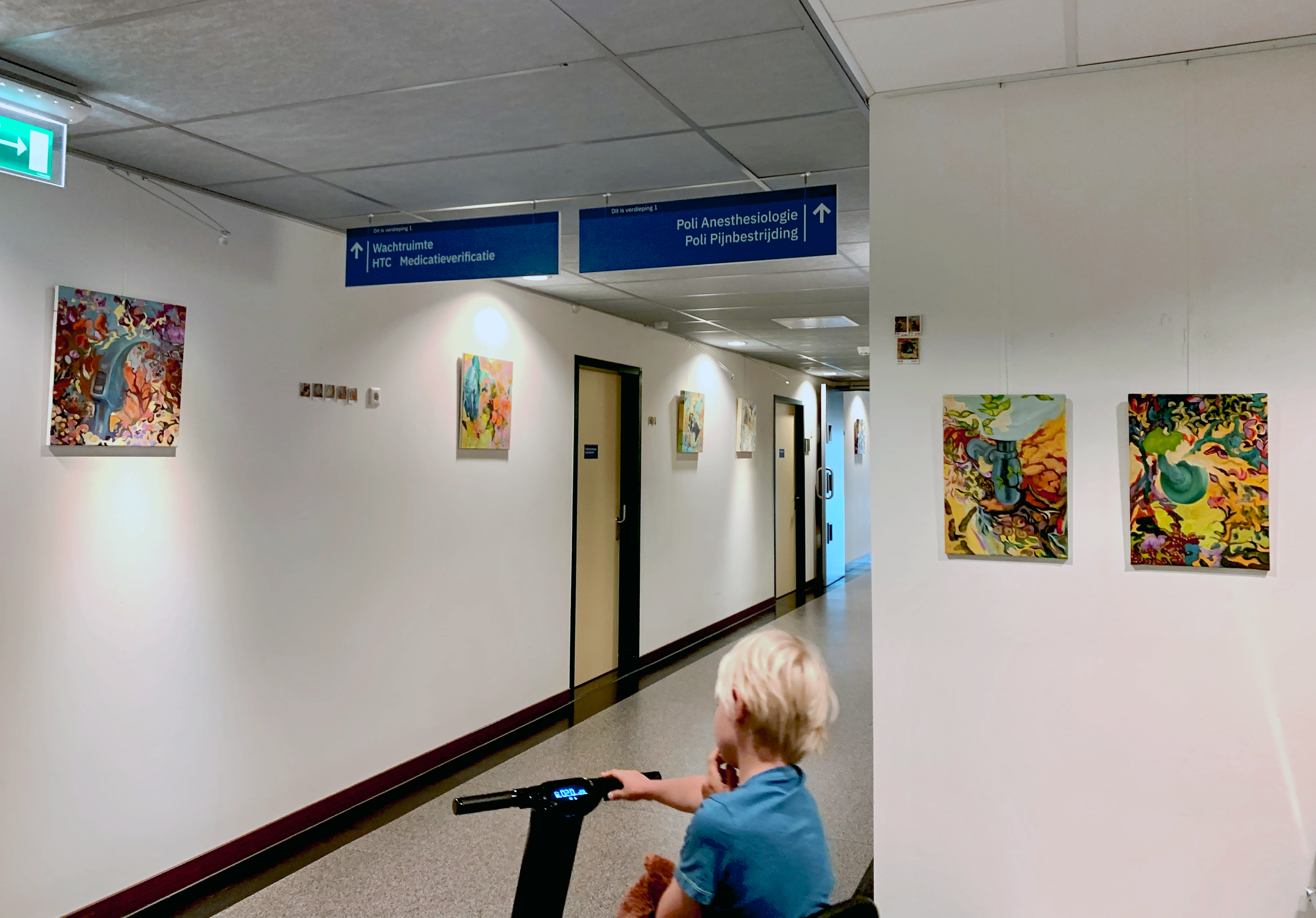 Annetta Willemse Paintings at the hospital
